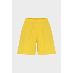 ACADEMIA HR SHORTS GUL